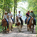 A group of five riding horses on a trail through the woods.